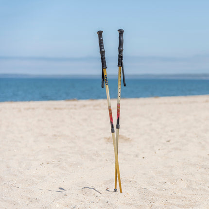 Summit Walking Poles